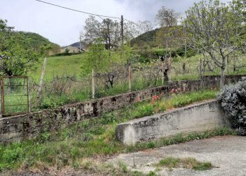 IMG-20240419-WA0023.jpg - Villa Coli - foto 4