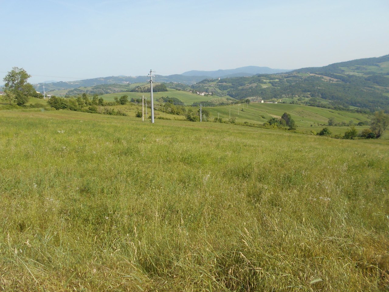 001.JPG - Terratetto - Terracielo Ponte dell'Olio - foto 2