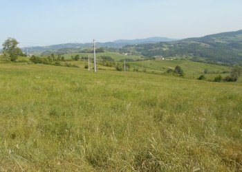 001.JPG - Terratetto - Terracielo Ponte dell'Olio - foto 2