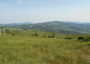 002.JPG - Terratetto - Terracielo Ponte dell'Olio - foto 3