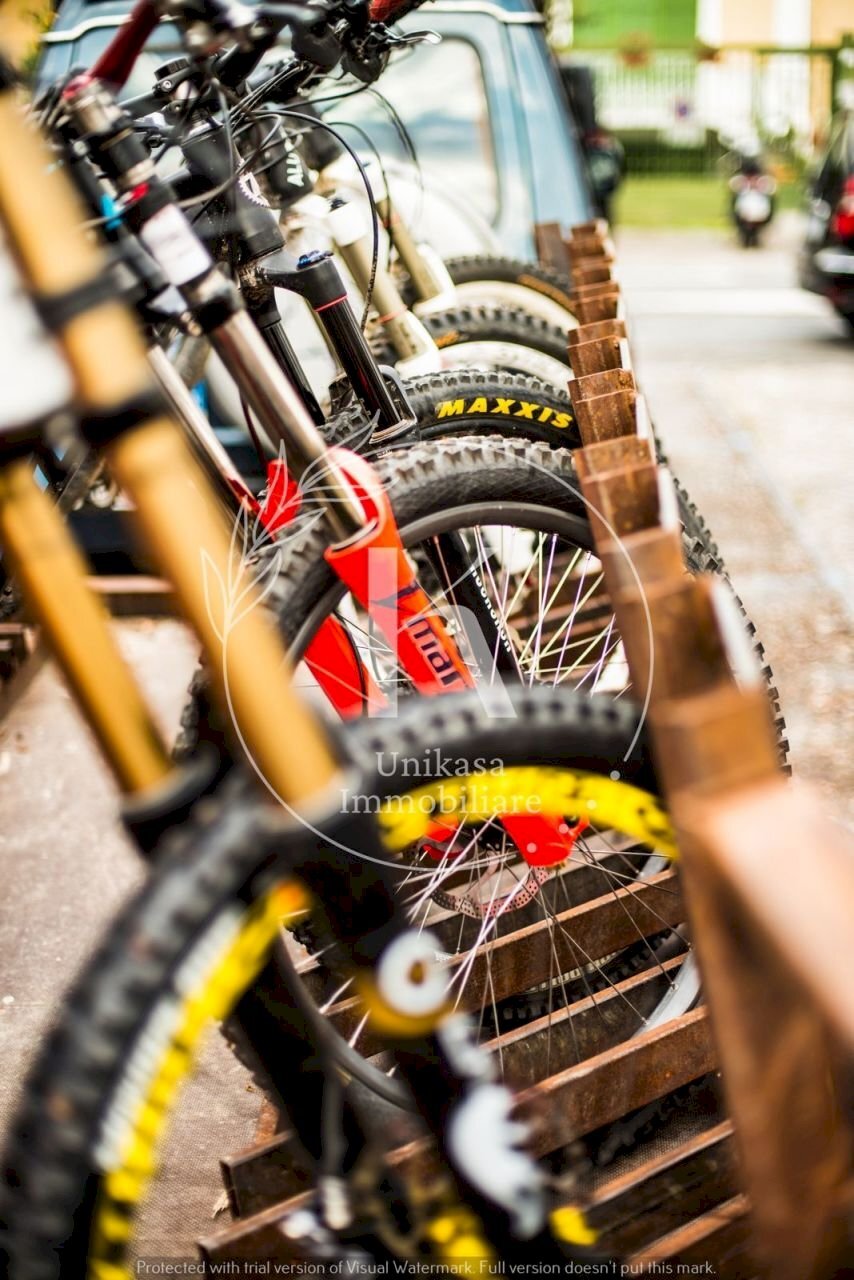 IMG-20240506-WA0011.jpg - Agritourism Orco Feglino, Orco Feglino - photo 3