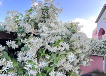 Appartamento Castelnuovo di Porto - foto 26