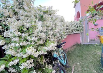 Appartamento Castelnuovo di Porto - foto 29