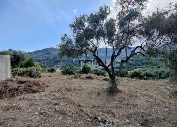 il terreno - Terreno edificabile via Cesare Battisti, Imperia - foto 18