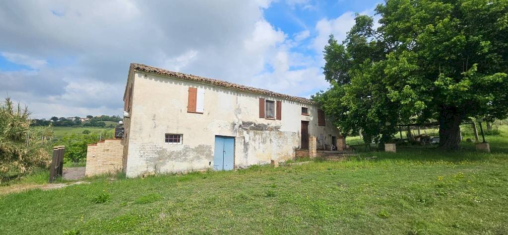 Terreno - Rustic Località Sant'Andrea di Suasa, Mondavio - photo 1