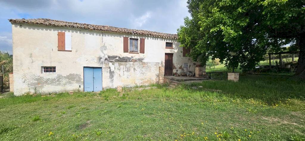 Terreno - Rustic Località Sant'Andrea di Suasa, Mondavio - photo 2