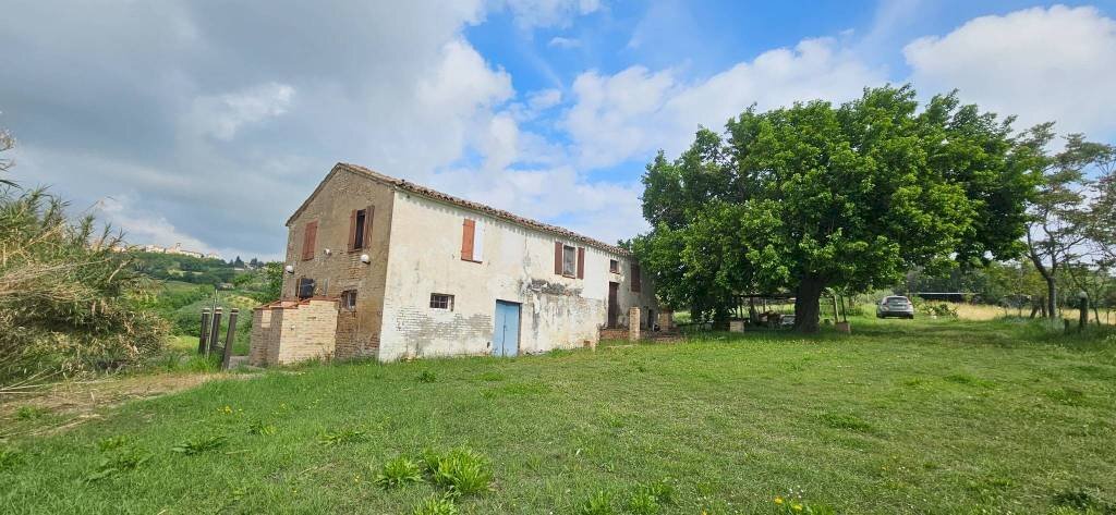 Terreno - Rustic Località Sant'Andrea di Suasa, Mondavio - photo 3