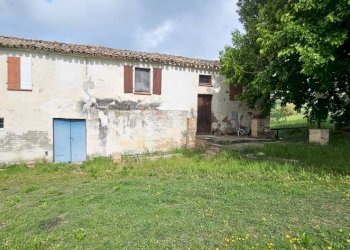 Terreno - Rustic Località Sant'Andrea di Suasa, Mondavio - photo 2