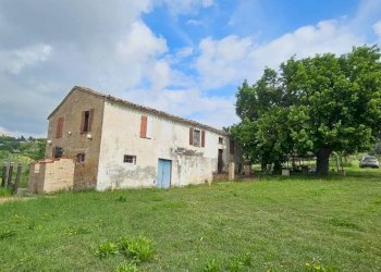 Terreno - Rustic Località Sant'Andrea di Suasa, Mondavio - photo 3
