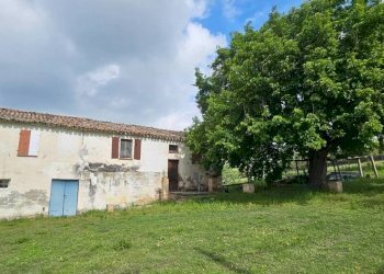 Terreno - Rustic Località Sant'Andrea di Suasa, Mondavio - photo 4