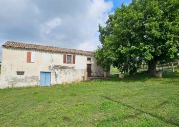 Terreno - Rustic Località Sant'Andrea di Suasa, Mondavio - photo 5