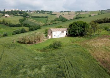 Terreno - Rustic Località Sant'Andrea di Suasa, Mondavio - photo 16