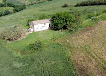 Terreno - Rustic Località Sant'Andrea di Suasa, Mondavio - photo 19
