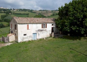 Terreno - Rustic Località Sant'Andrea di Suasa, Mondavio - photo 20