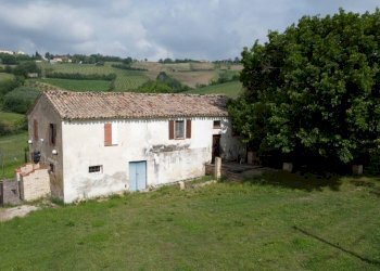 Terreno - Rustic Località Sant'Andrea di Suasa, Mondavio - photo 21