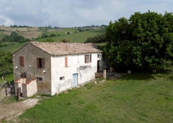 Terreno - Rustic Località Sant'Andrea di Suasa, Mondavio - photo 22