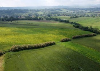 Vista - Rustic Località Sant'Andrea di Suasa, Mondavio - photo 29