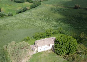 Terreno - Rustic Località Sant'Andrea di Suasa, Mondavio - photo 30