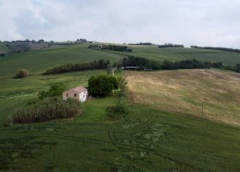 Terreno - Rustic Località Sant'Andrea di Suasa, Mondavio - photo 41