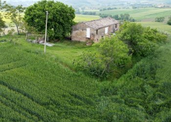 Terreno - Rustic Località Sant'Andrea di Suasa, Mondavio - photo 44