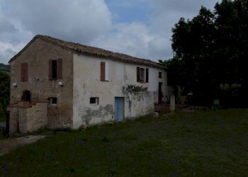 Terreno - Rustic Località Sant'Andrea di Suasa, Mondavio - photo 50