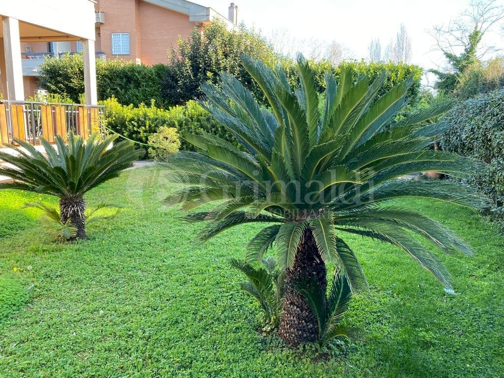 IMG-20240517-WA0005.jpg - Casa indipendente Viale delle Ginestre 60, Anzio - foto 1