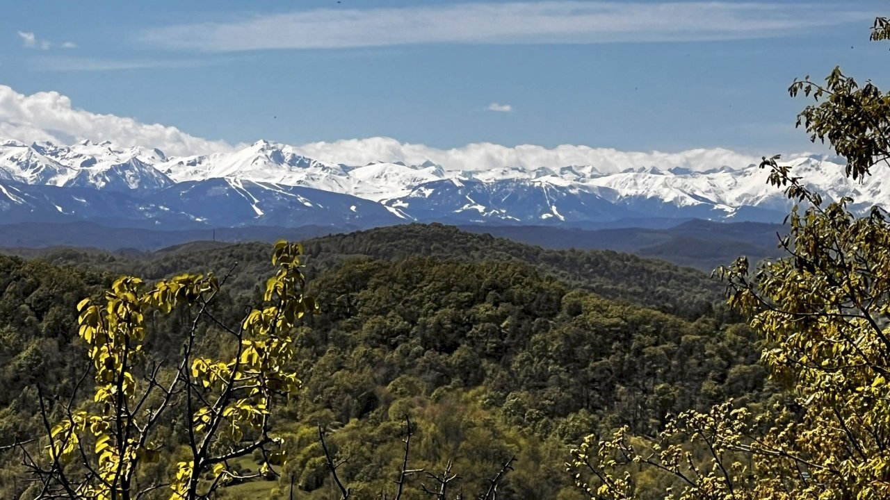 IMG_6157.JPEG - Rustic Corso Bovio 2, Giusvalla - photo 2