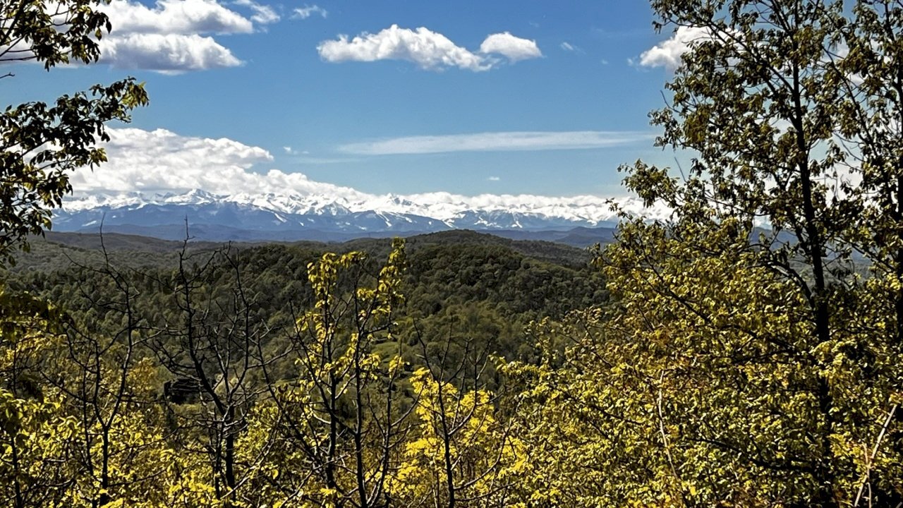 IMG_6156.JPEG - Rustic Corso Bovio 2, Giusvalla - photo 3