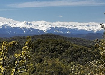 IMG_6157.JPEG - Rustico Corso Bovio 2, Giusvalla - foto 2