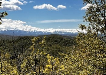 IMG_6156.JPEG - Rustico Corso Bovio 2, Giusvalla - foto 3