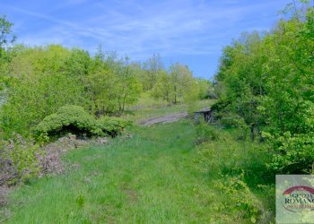 Rif 1515 (2).jpg - Rustico Corso Bovio 2, Giusvalla - foto 4