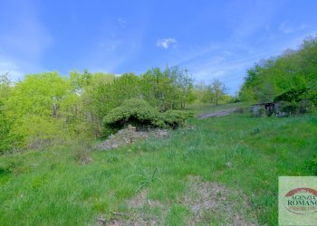 Rif 1515 (3).jpg - Rustico Corso Bovio 2, Giusvalla - foto 5