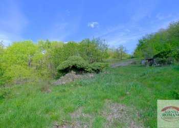 Rif 1515 (4).jpg - Rustico Corso Bovio 2, Giusvalla - foto 6