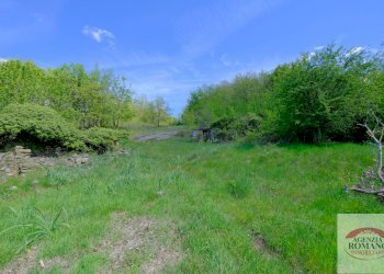 Rif 1515 (5).jpg - Rustico Corso Bovio 2, Giusvalla - foto 7