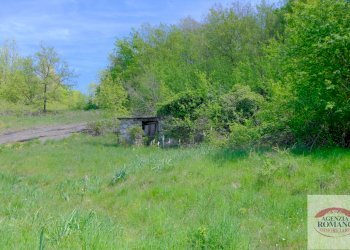 Rif 1515 (6).jpg - Rustico Corso Bovio 2, Giusvalla - foto 8