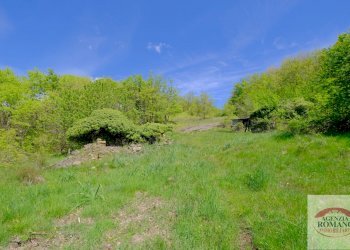 Rif 1515 (7).jpg - Rustico Corso Bovio 2, Giusvalla - foto 9