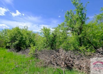 Rif 1515 (9).jpg - Rustico Corso Bovio 2, Giusvalla - foto 11