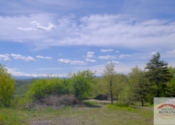 Rif 1515 (10).jpg - Rustico Corso Bovio 2, Giusvalla - foto 12