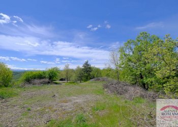 Rif 1515 (12).jpg - Rustico Corso Bovio 2, Giusvalla - foto 14