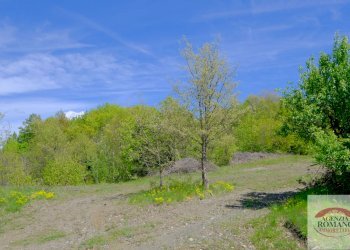 Rif 1515 (13).jpg - Rustico Corso Bovio 2, Giusvalla - foto 15