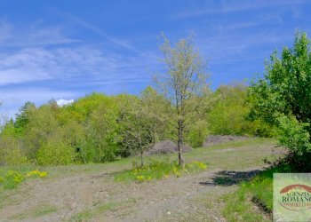 Rif 1515 (14).jpg - Rustico Corso Bovio 2, Giusvalla - foto 16