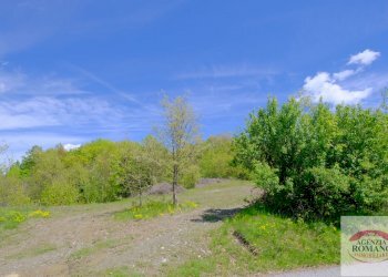 Rif 1515 (16).jpg - Rustico Corso Bovio 2, Giusvalla - foto 18