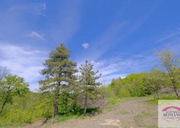 Rif 1515 (17).jpg - Rustico Corso Bovio 2, Giusvalla - foto 19