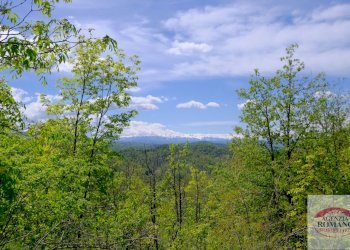 Rif 1515 (18).jpg - Rustico Corso Bovio 2, Giusvalla - foto 20