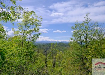 Rif 1515 (19).jpg - Rustico Corso Bovio 2, Giusvalla - foto 21