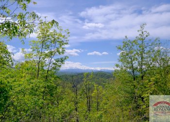 Rif 1515 (20).jpg - Rustico Corso Bovio 2, Giusvalla - foto 22