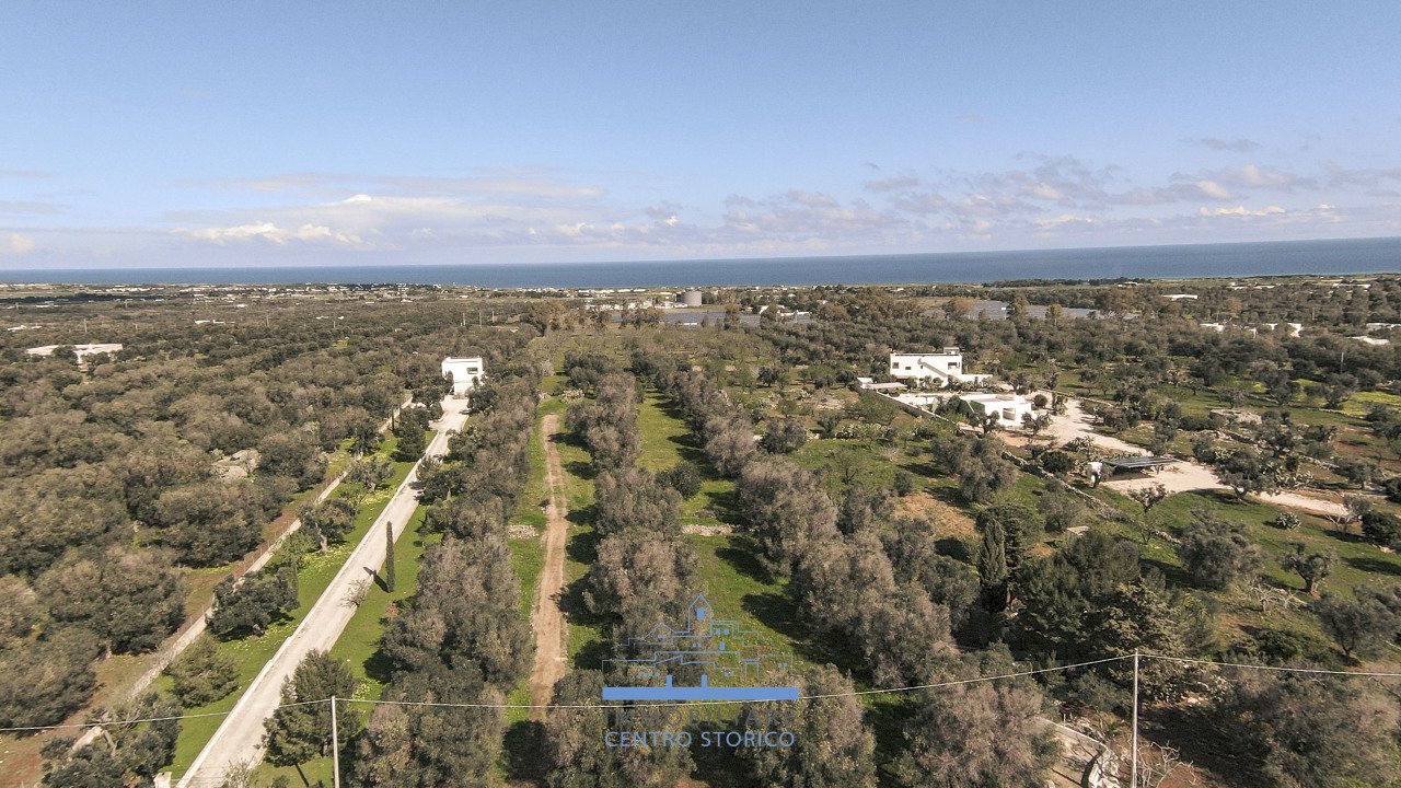 151151.jpg - Rustic Carovigno - photo 1