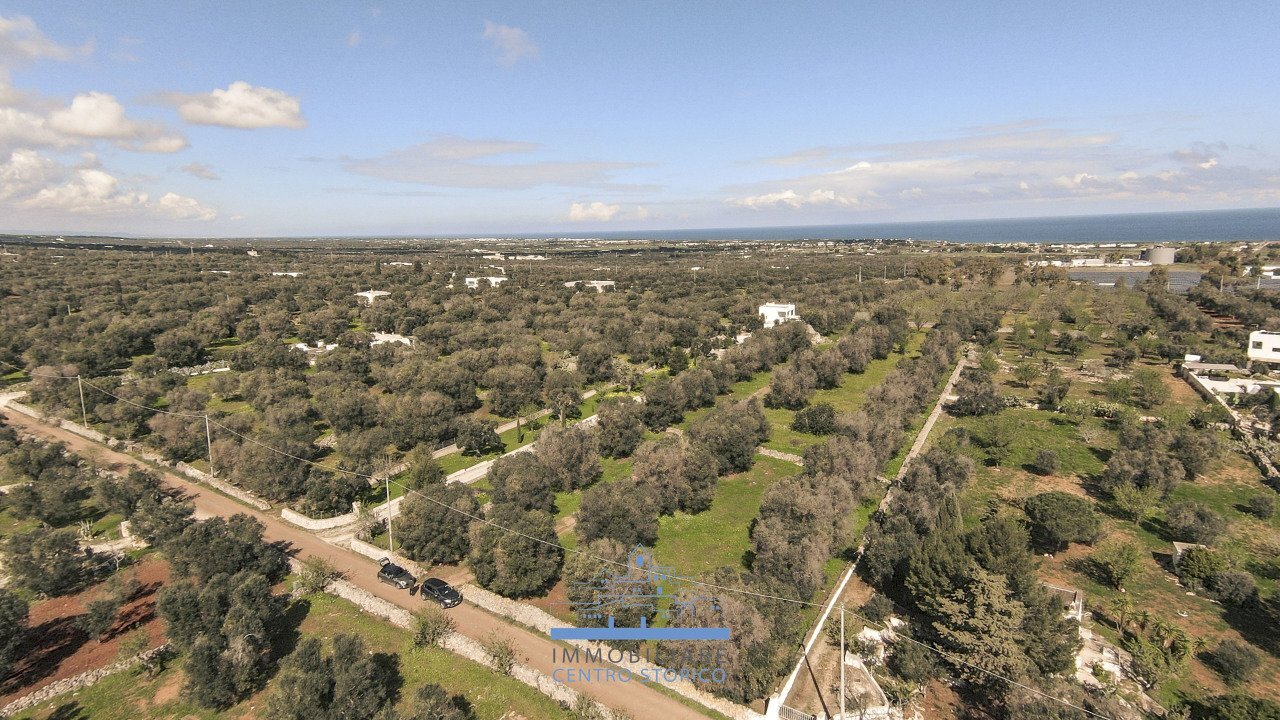 152152.jpg - Rustic Carovigno - photo 2