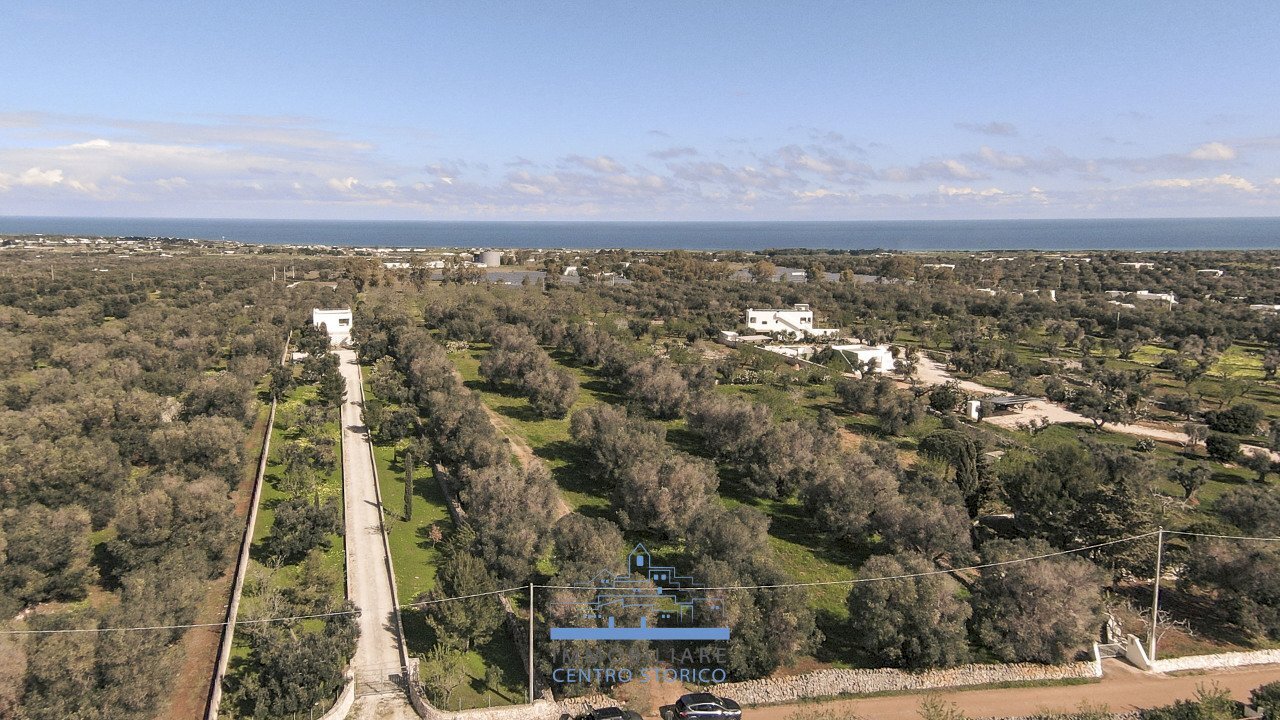 153153.jpg - Rustic Carovigno - photo 3