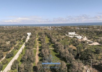 151151.jpg - Rustico Carovigno - foto 1